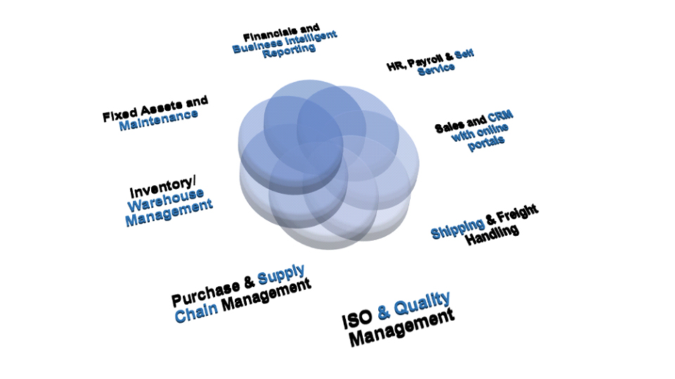 Erp system for trading company